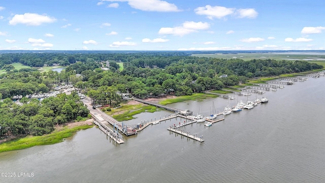 485 Bb Sams Dr, Saint Helena Island, SC 29920 - bird's eye view of a large body of water and numerous boat docks