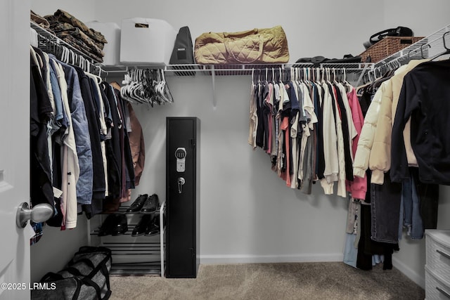 walk in closet featuring carpet floors