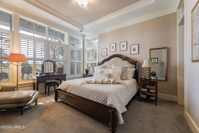 carpeted bedroom with multiple windows, crown molding, a raised ceiling, and ceiling fan