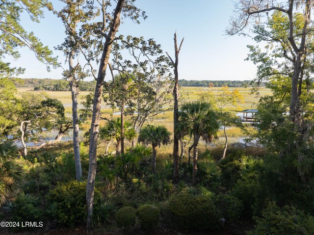 view of nature featuring a rural view