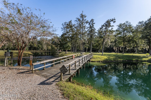 dock area with a water view