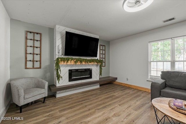 20 Pennyroyal Way, Beaufort, SC 29906 - living area with a premium fireplace and light wood-type flooring
