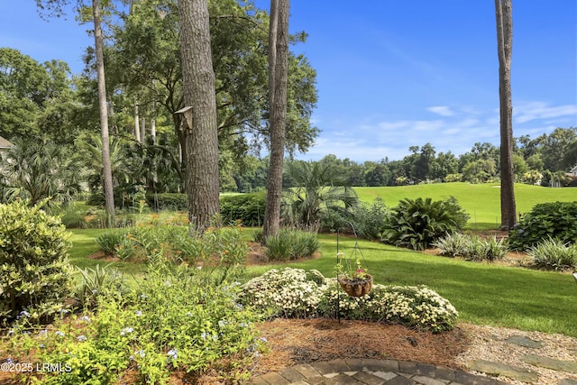 122 Summerton Dr, Bluffton, SC 29910 - photo 49