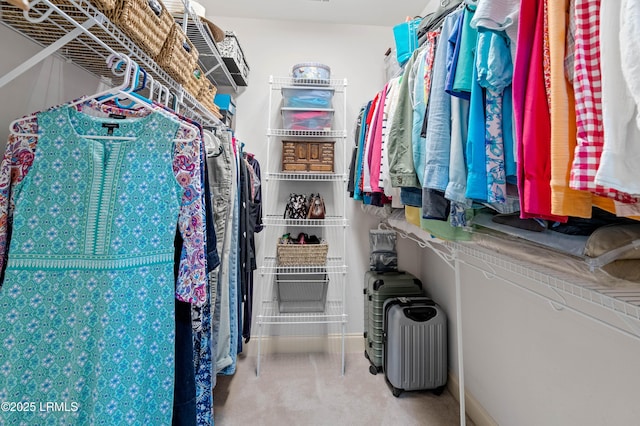 10 Old Barn Rd, Beaufort, SC 29907 - view of spacious closet