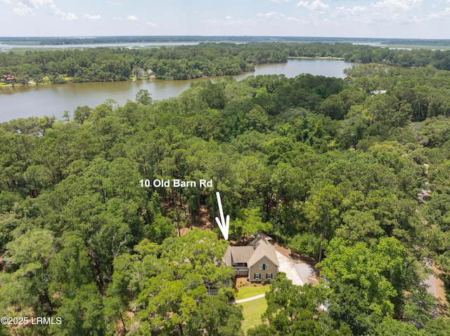 10 Old Barn Rd, Beaufort, SC 29907 - aerial view of a heavily wooded area and a large body of water