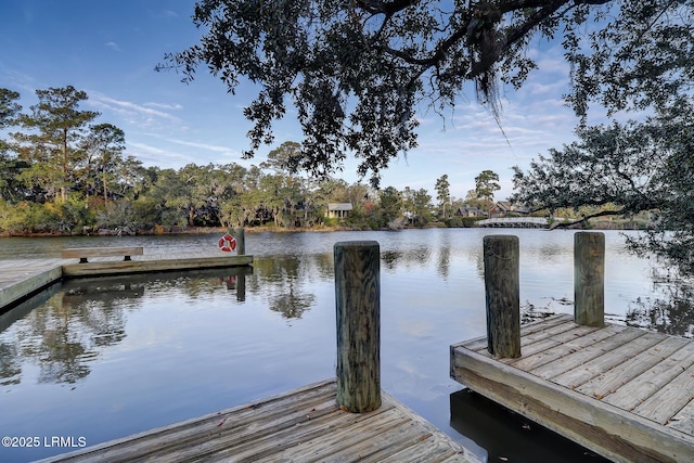 14 Skipperling Ct, Bluffton, SC 29909 - dock featuring a water view