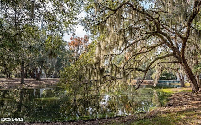 6 Tiller Island Dr, Beaufort, SC 29907