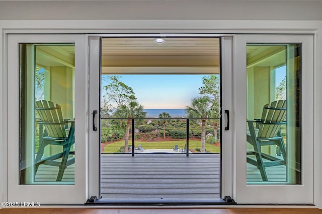 doorway featuring a wealth of natural light