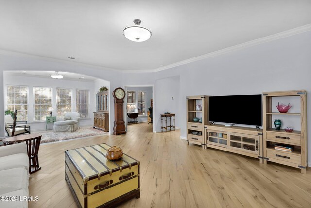 living room featuring ornamental molding and light hardwood / wood-style floors