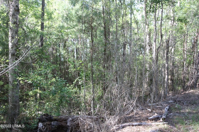 Tbd Halifax Circle, Saint Helena Island, SC 29920 - photo 1