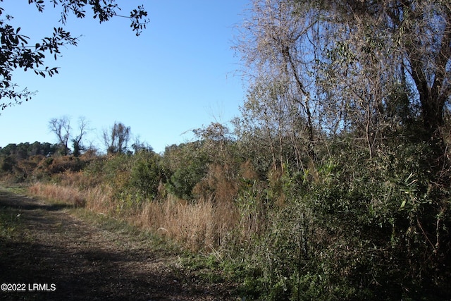 Tbd Halifax Circle, Saint Helena Island, SC 29920 - photo 2