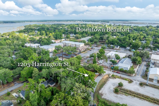 1205 Harrington St, Beaufort, SC 29902 - photo 28