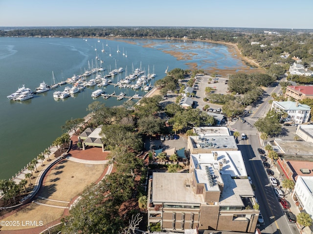 bird's eye view with a water view