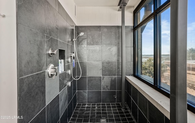 bathroom with a tile shower and a water view