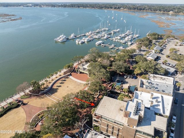 aerial view with a water view