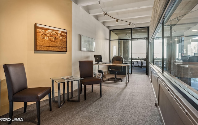 carpeted office space featuring track lighting and a wall of windows