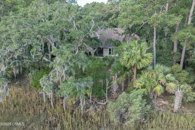 drone / aerial view featuring a view of trees