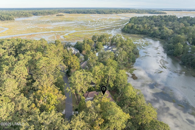 birds eye view of property featuring a water view and a forest view