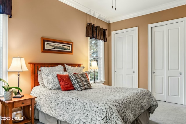 bedroom featuring multiple closets, crown molding, and carpet