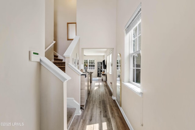 165 Mission Way, Beaufort, SC 29906 - photo 8