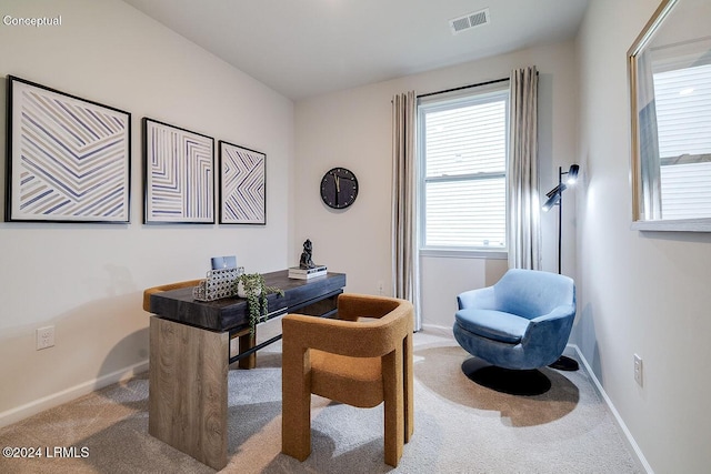 1549 Sanctum St, Ridgeland, SC 29936 - office space featuring carpet floors and baseboards