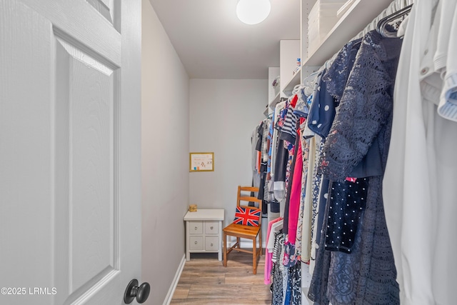 walk in closet featuring wood finished floors