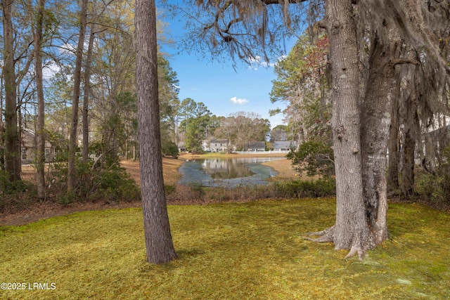 view of yard with a water view