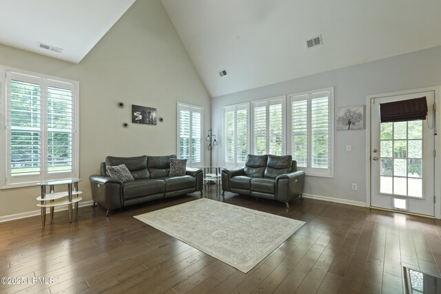 36 Hopper Ridge Rd, Okatie, SC 29909 - living room with high vaulted ceiling, healthy amount of natural light, baseboards, and dark wood-style flooring