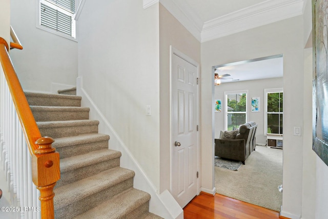46 Woods Bay Rd, Bluffton, SC 29910 - photo 8