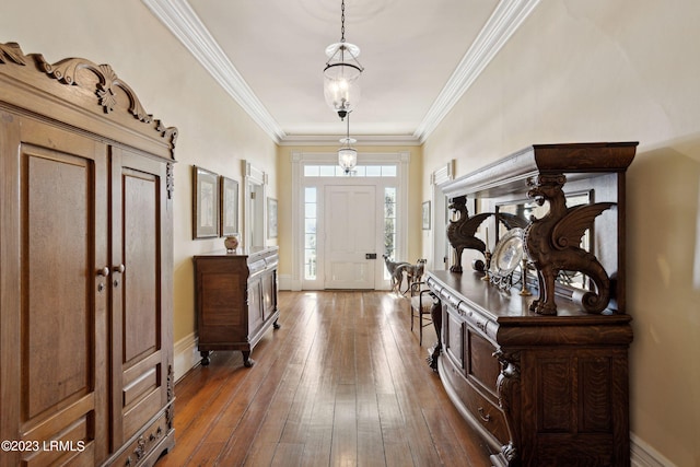 entrance foyer featuring crown molding and dark hardwood / wood-style flooring