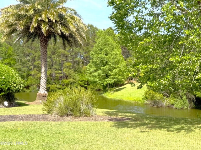 91 Doncaster Ln, Bluffton, SC 29909 - photo 34