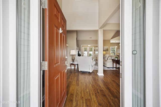 foyer entrance featuring dark wood-type flooring