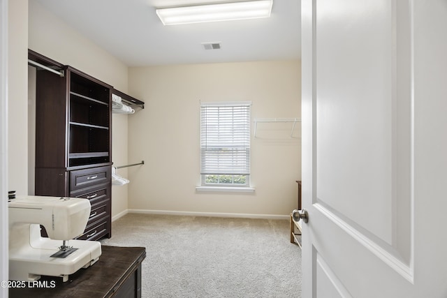 spacious closet featuring carpet flooring