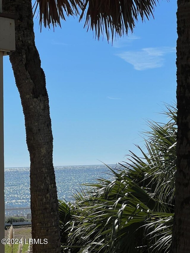 view of water feature