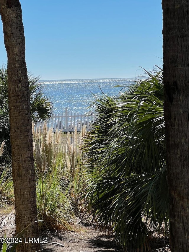 view of water feature