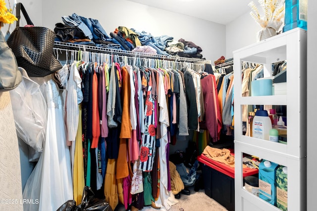 76 Shadow Moss Dr, Beaufort, SC 29906 - spacious closet featuring carpet