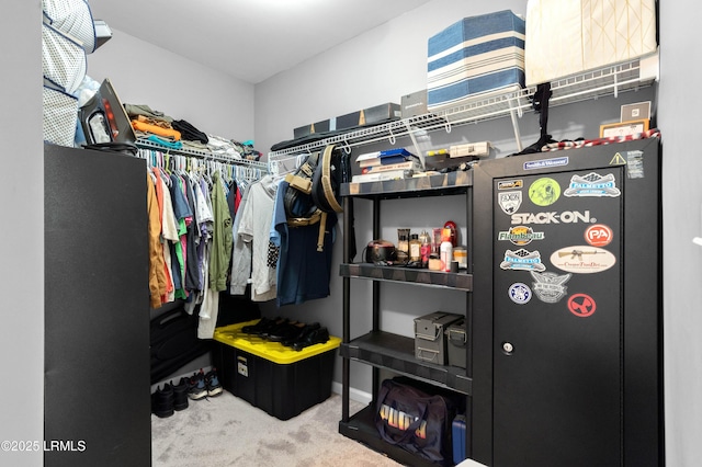 76 Shadow Moss Dr, Beaufort, SC 29906 - walk in closet with carpet floors