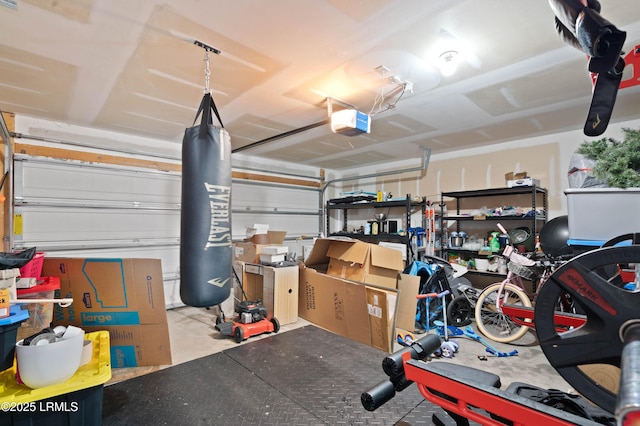 76 Shadow Moss Dr, Beaufort, SC 29906 - garage featuring a garage door opener