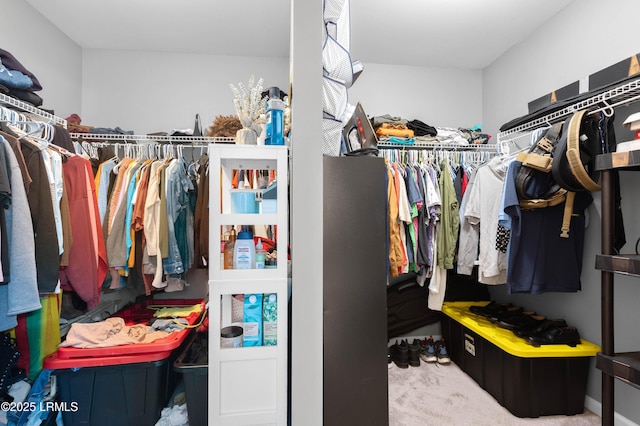 76 Shadow Moss Dr, Beaufort, SC 29906 - spacious closet featuring carpet
