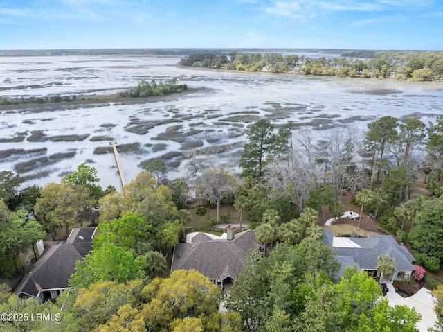 8 Wild Magnolia Ln, Okatie, SC 29909 - birds eye view of property with a water view