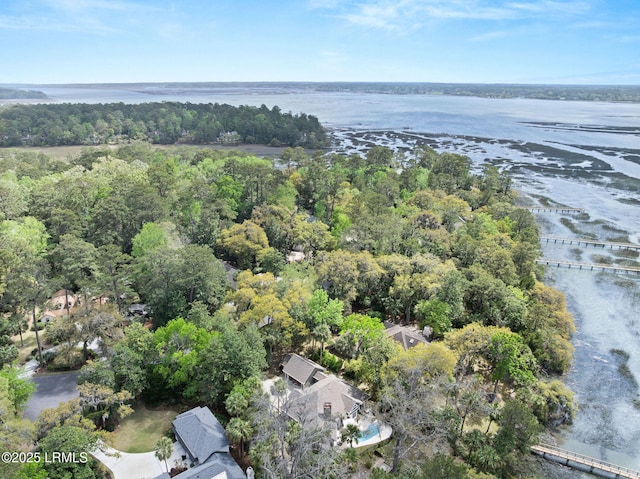 8 Wild Magnolia Ln, Okatie, SC 29909 - birds eye view of property featuring a forest view and a water view