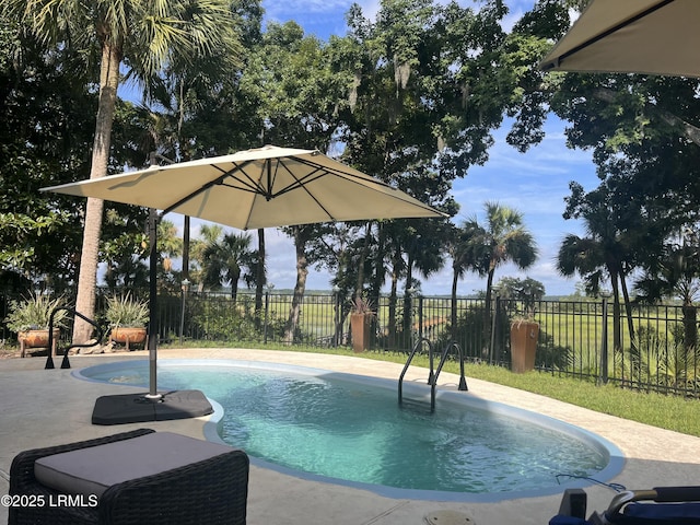 8 Wild Magnolia Ln, Okatie, SC 29909 - view of swimming pool featuring fence, a fenced in pool, and a patio