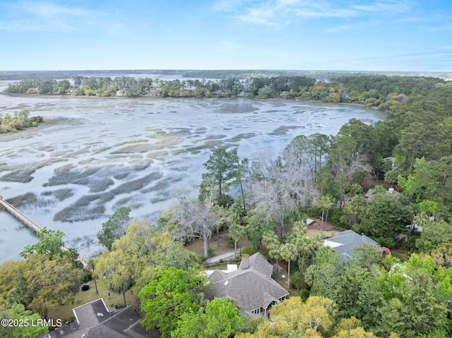 8 Wild Magnolia Ln, Okatie, SC 29909 - bird's eye view featuring a water view