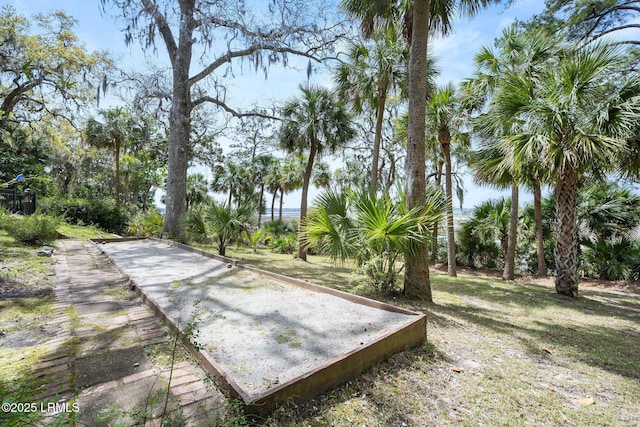 8 Wild Magnolia Ln, Okatie, SC 29909 - view of yard