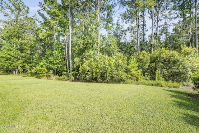 342 Great Harvest Rd, Bluffton, SC 29909 - photo 43