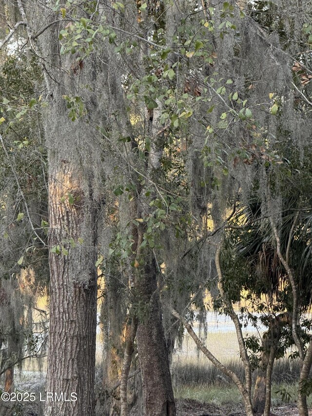 228 De La Gaye Pt, Beaufort, SC 29902