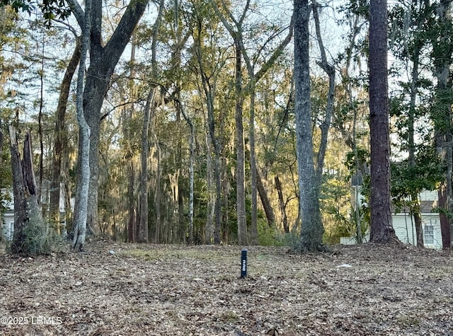 228 De La Gaye Pt, Beaufort, SC 29902