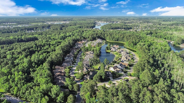 39 Sweet Marsh Ct, Bluffton, SC 29910 - view of property location featuring a forest and a large body of water