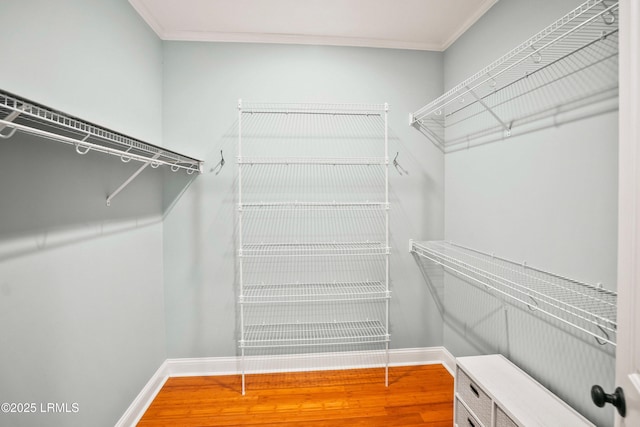 spacious closet with wood finished floors