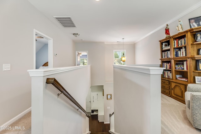 4 Tybee Island Ct, Bluffton, SC 29910 - photo 31